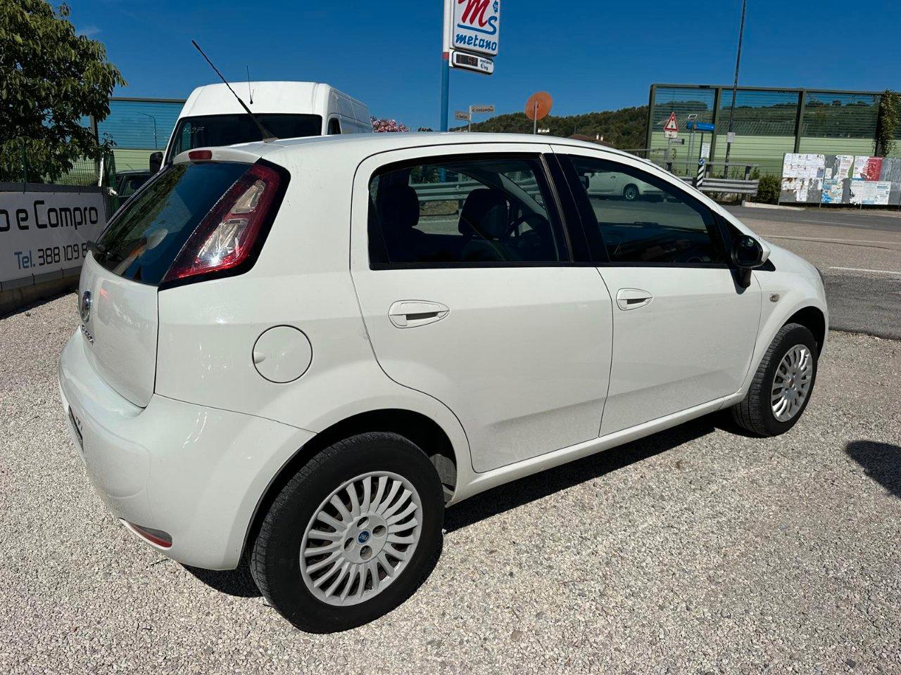 Fiat Punto 5 Porte Punto 5p 1.4 natural power Pop 70cv