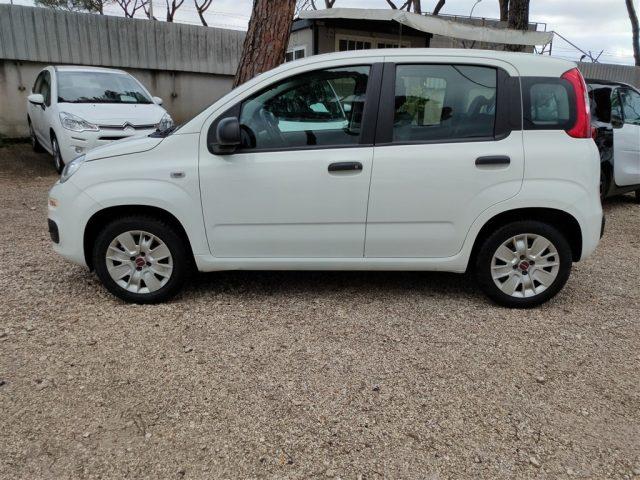 FIAT Panda 1.2 69cv CLIMATIZZATORE OK NEOPATENTATI