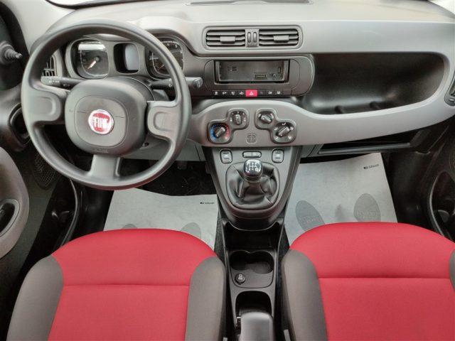 FIAT Panda 1.2 Easy CLIMA OK NEOPATENTATI