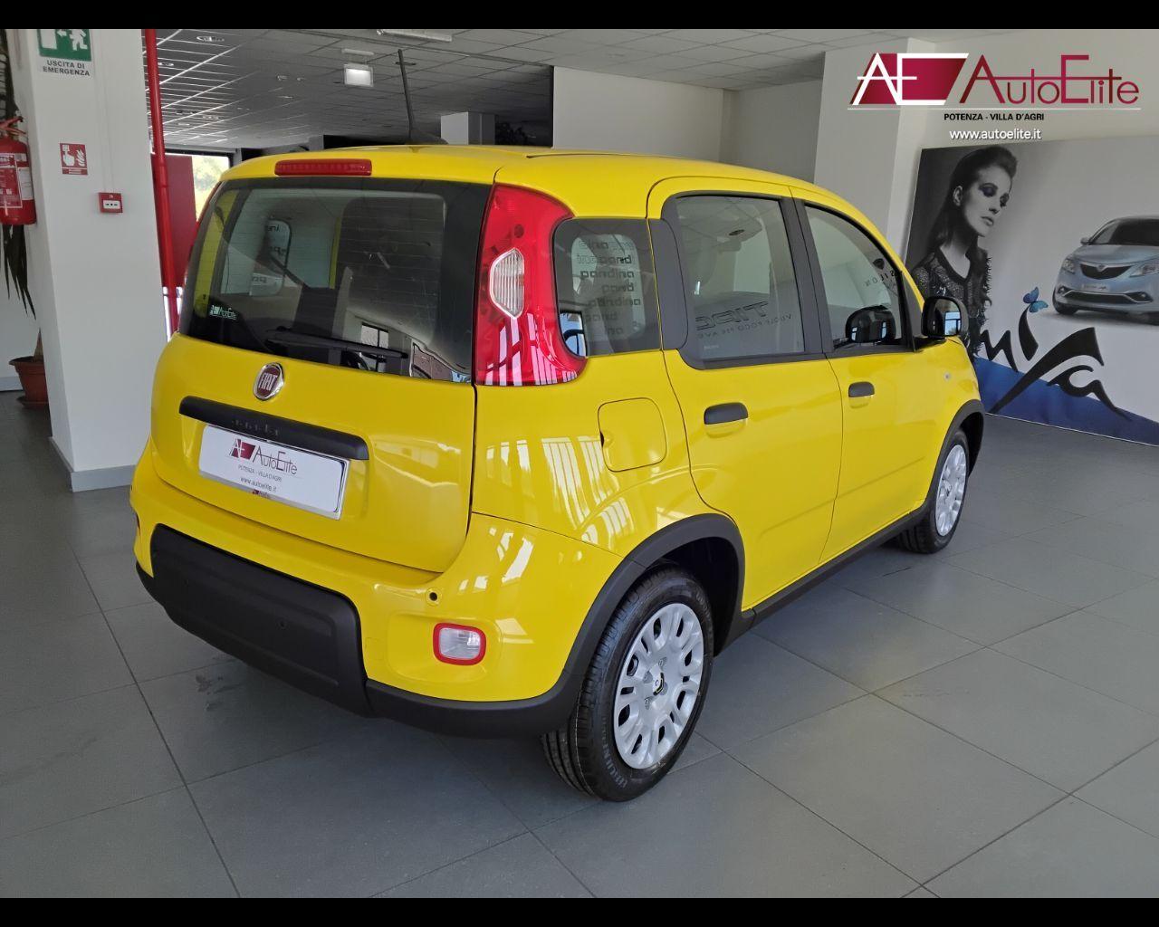 FIAT Panda My21 1.0 70cv Hybrid Panda