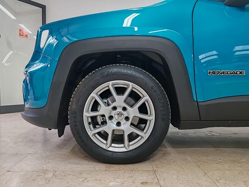 Jeep Renegade 1.6 Mjt 130 CV Limited Plus Vari Colori