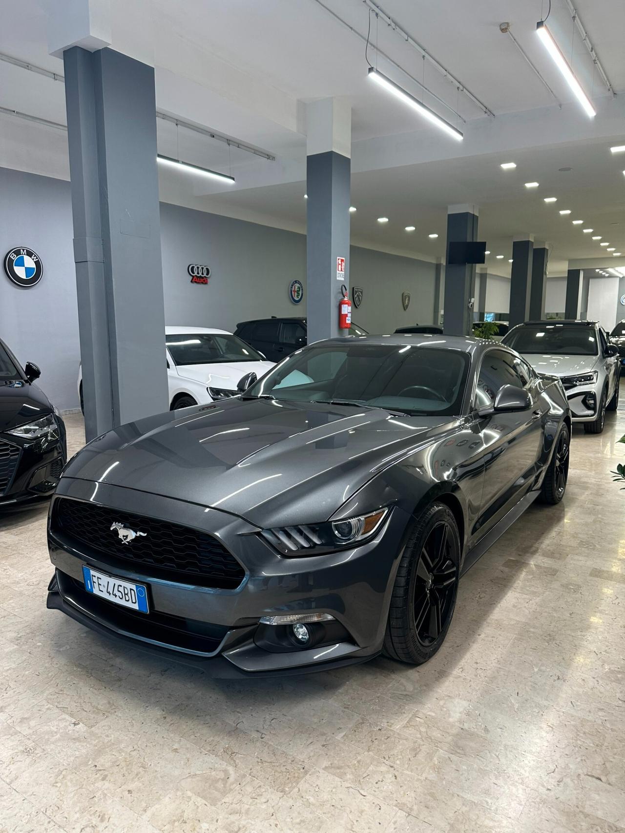 Mustang MUSTUNG