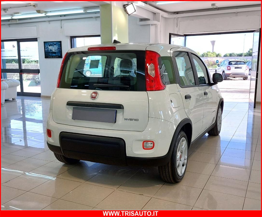 FIAT Panda 1.0 FireFly S&S Hybrid MY24 KM ZERO!!! IVATA NEOPATENTATI