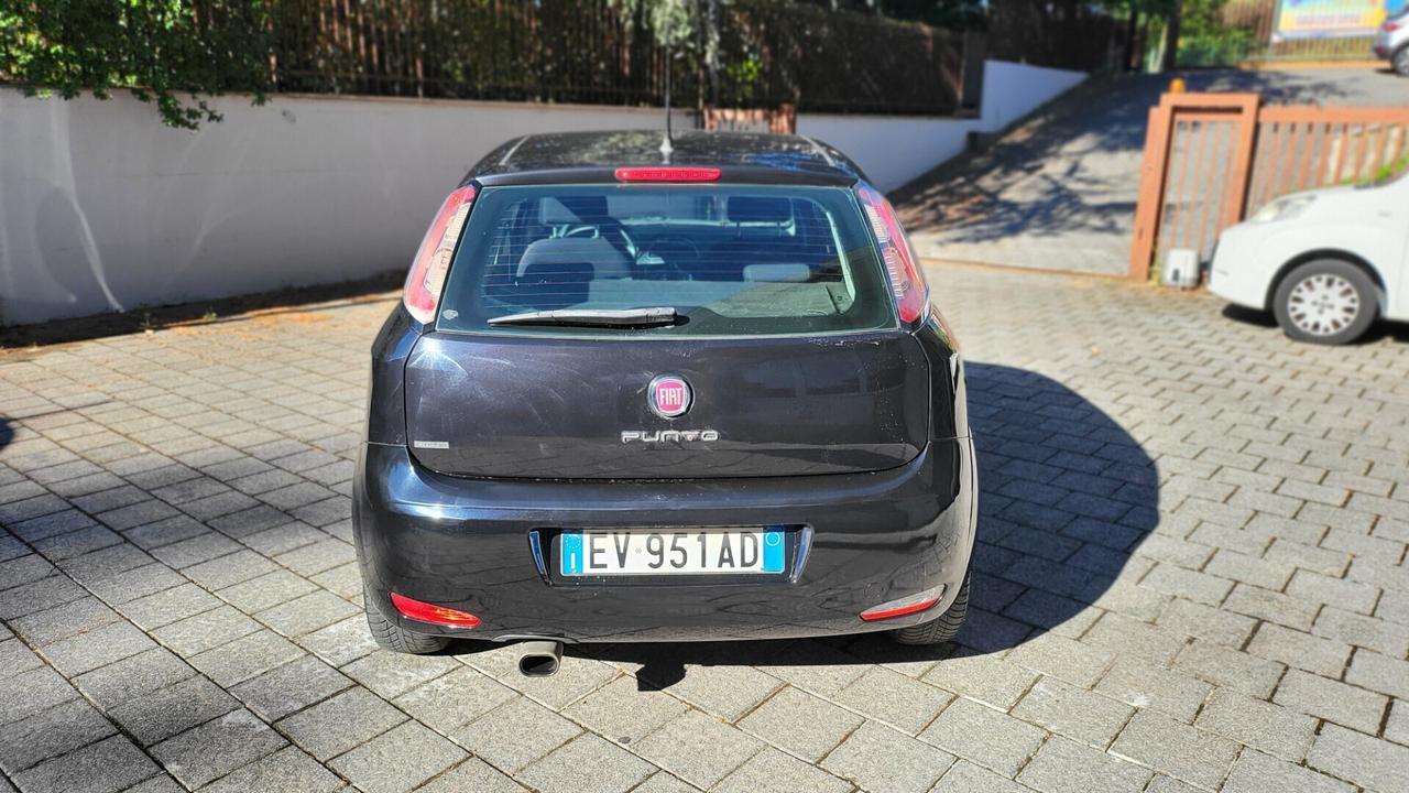 Fiat Punto 1.2 8V 5 porte Street