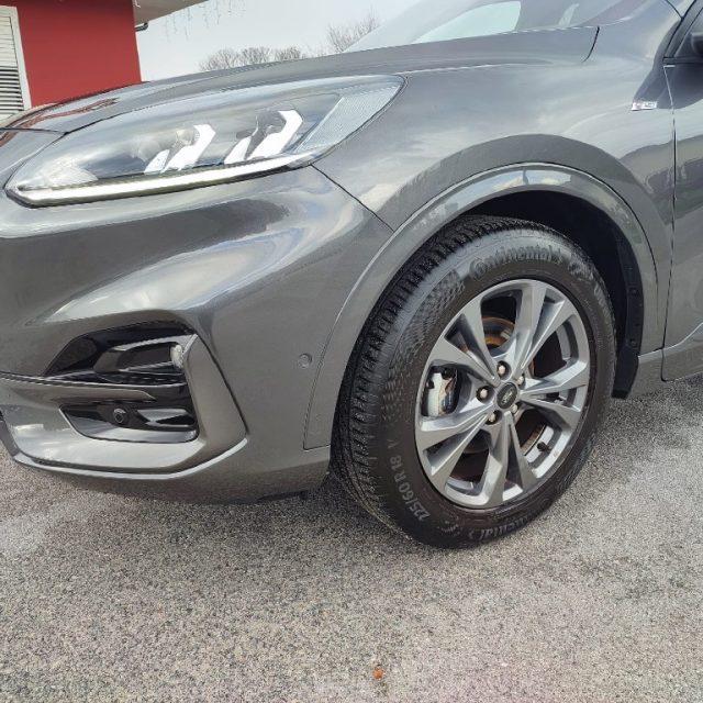 FORD Kuga 1.5 EcoBlue 120 CV aut. 2WD ST-Line