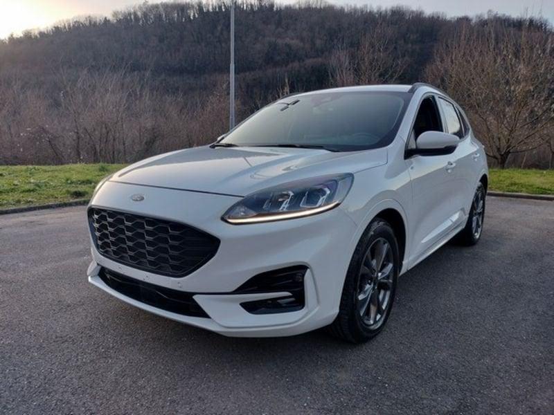 Ford Kuga Kuga 2.0 EcoBlue 120 CV aut. 2WD ST-Line