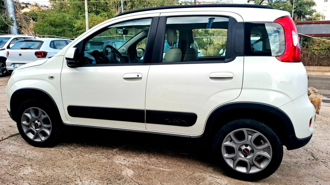 Fiat Panda 1.3 MJT S&S 4x4 Antartica