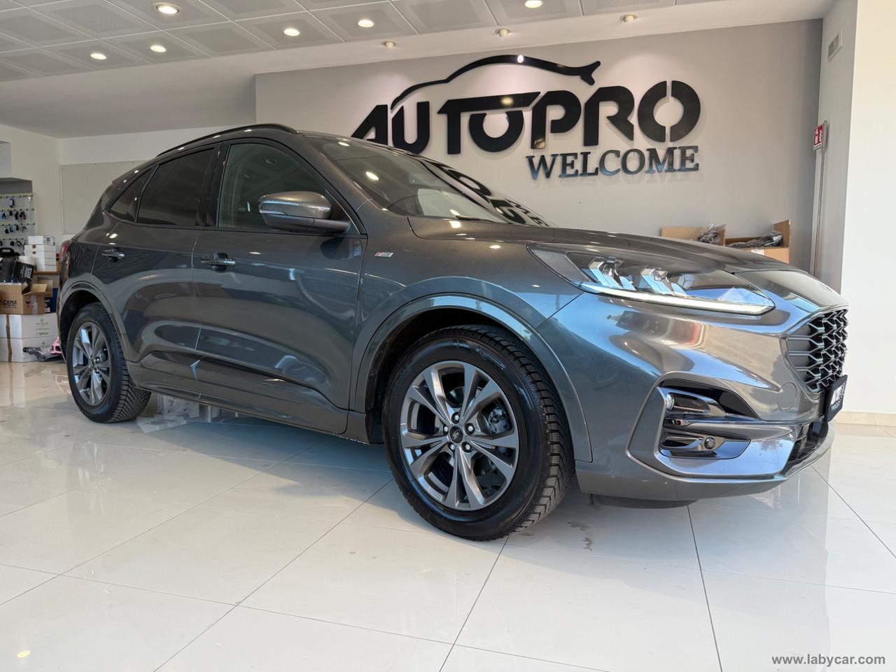 FORD Kuga 1.5 EcoBlue 120 CV 2WD ST-Line
