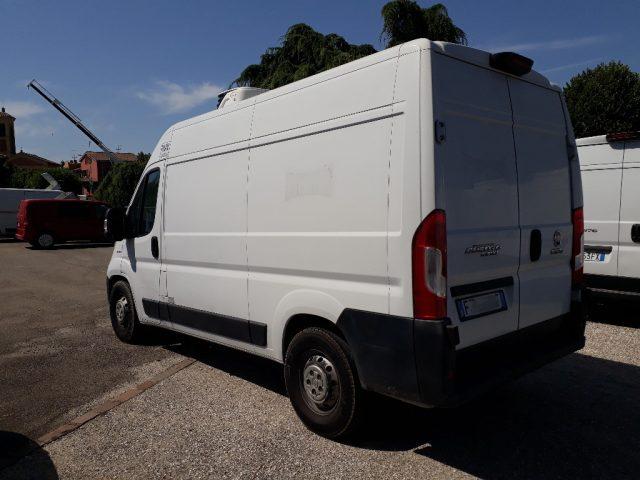 FIAT Ducato MH2 FRIGO FNAX [FR49]