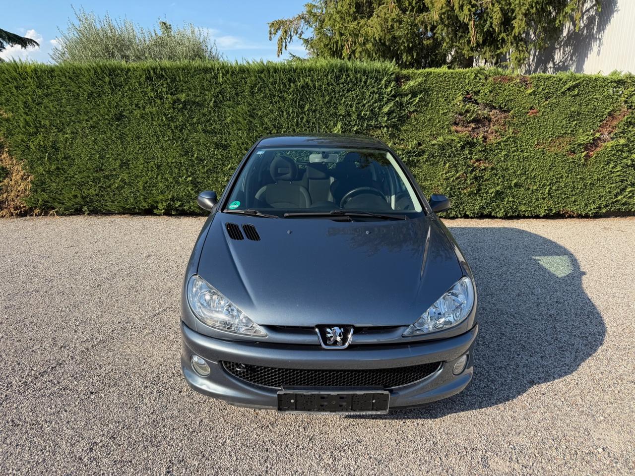 Peugeot 206 1.4 SW Enfant Terrible