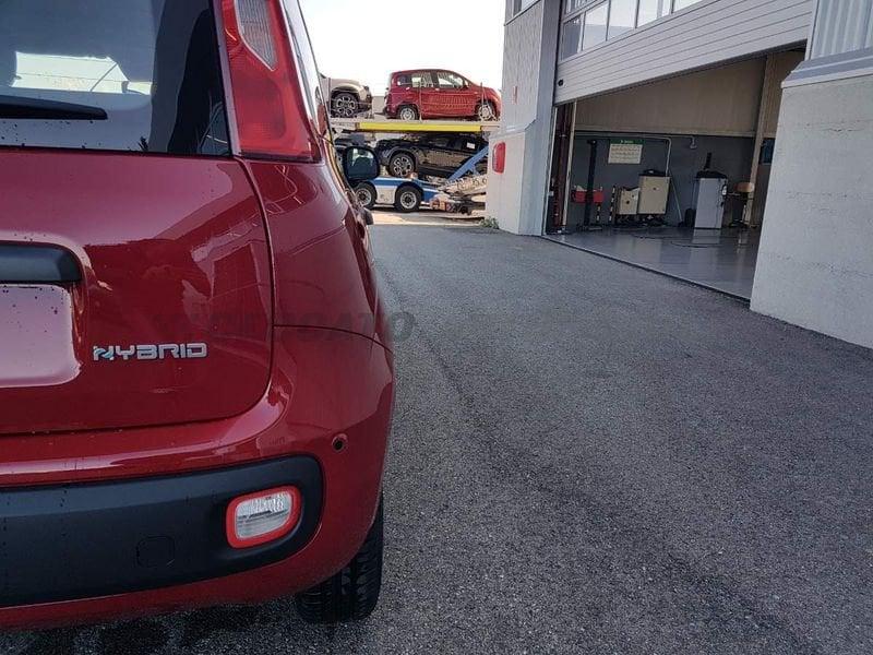 FIAT Panda Panda 1.0 70cv Hybrid Icon