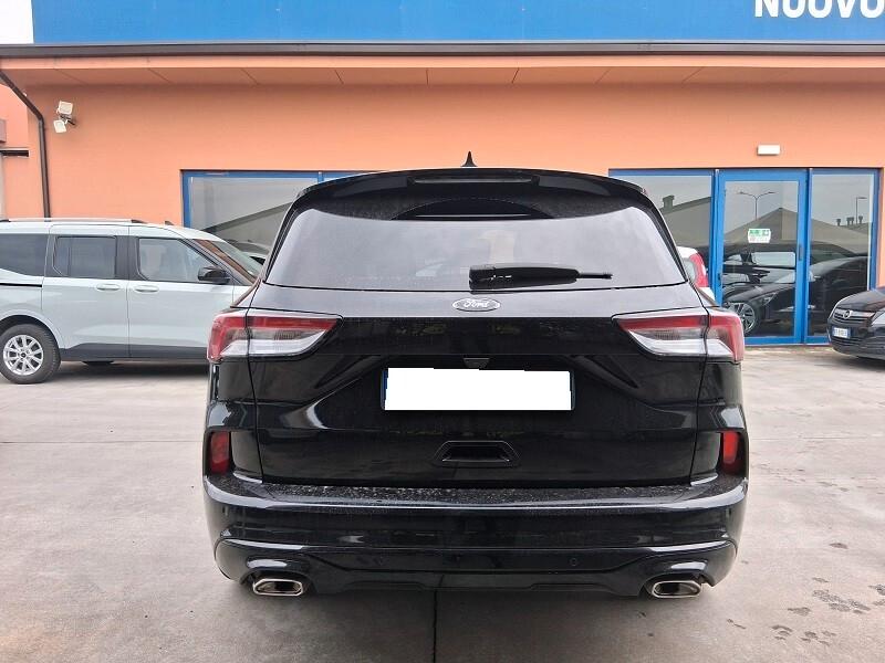 Ford Kuga 1.5 EcoBlue 120 CV 2WD ST-Line X (688)