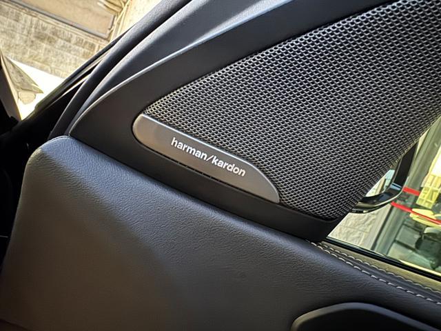 BMW X6 xDrive40i 48V Msport Pro TETTO-HARMAN KARDON-DVD.