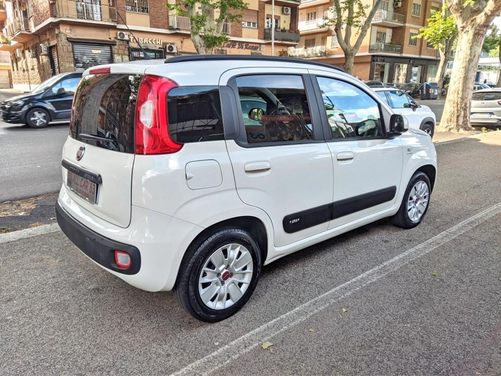 Fiat Panda 1.2 LOUNGE PREZZO VERO OK NEOPATENTATI