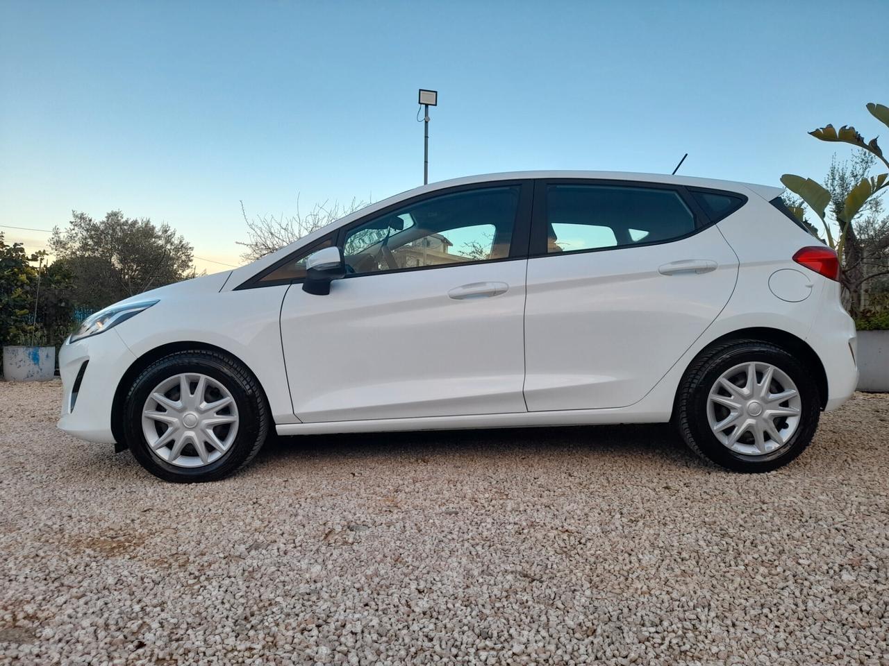 Ford Fiesta 1.5 EcoBlue 5 porte Connect Anno 2020