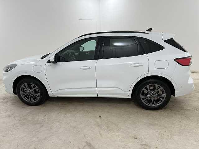 Ford Kuga 2.5 phev st-line 2wd 225cv cvt