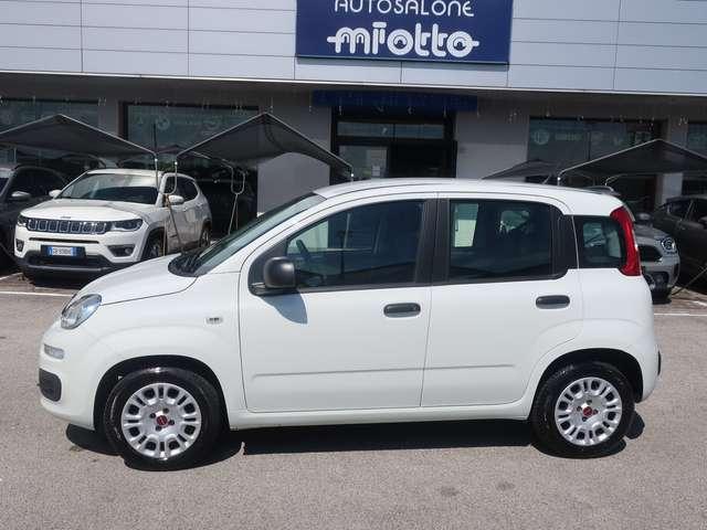 Fiat Panda Panda III 2016 1.2 Easy s&s