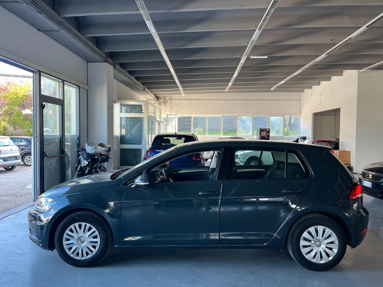 Volkswagen Golf 1.6 TDI 115 CV 5p. Business BlueMotion Technology