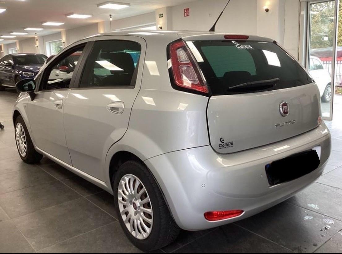 Fiat Punto 1.2 8V 5 porte Street-in arrivo-