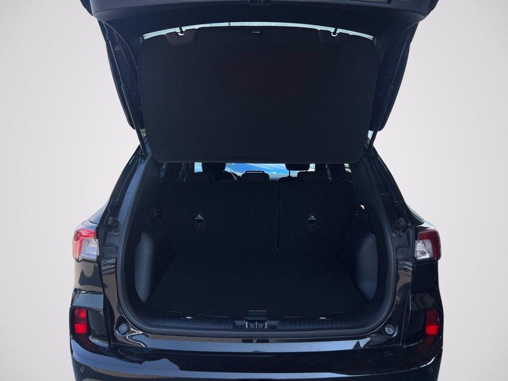 FORD Kuga 1.5 EcoBoost 150 CV 2WD ST-Line del 2023