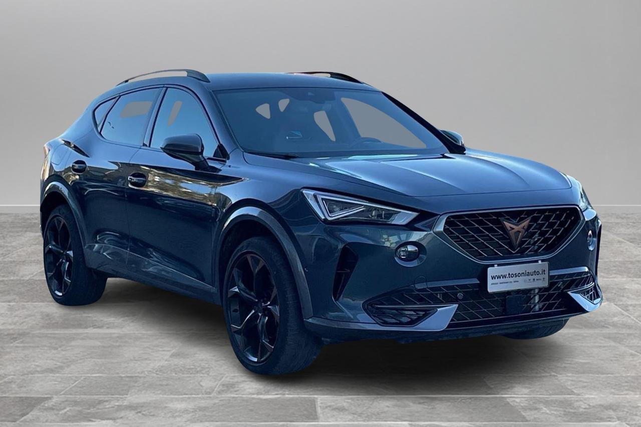 CUPRA Formentor 2.0 tsi 4drive 190cv dsg