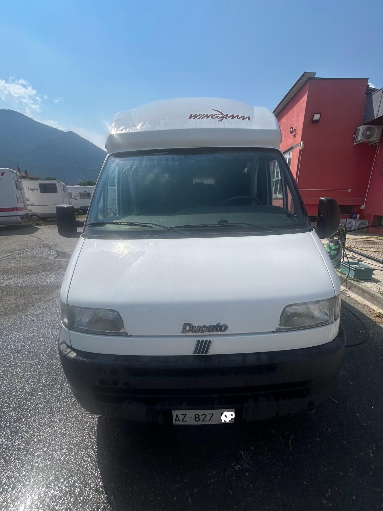 827 Wingamm semi integrale del 1998 in saldo