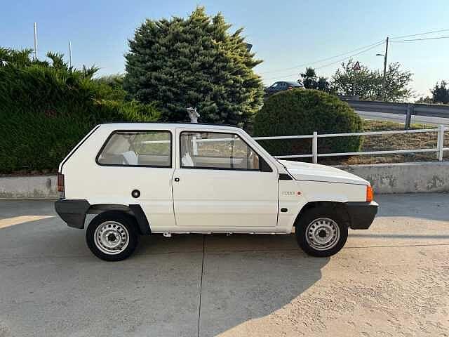 Fiat Panda 900 i.e. cat Young