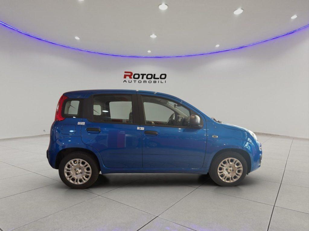 FIAT Panda 3ª serie Panda 1.0 FireFly S&S Hybr...