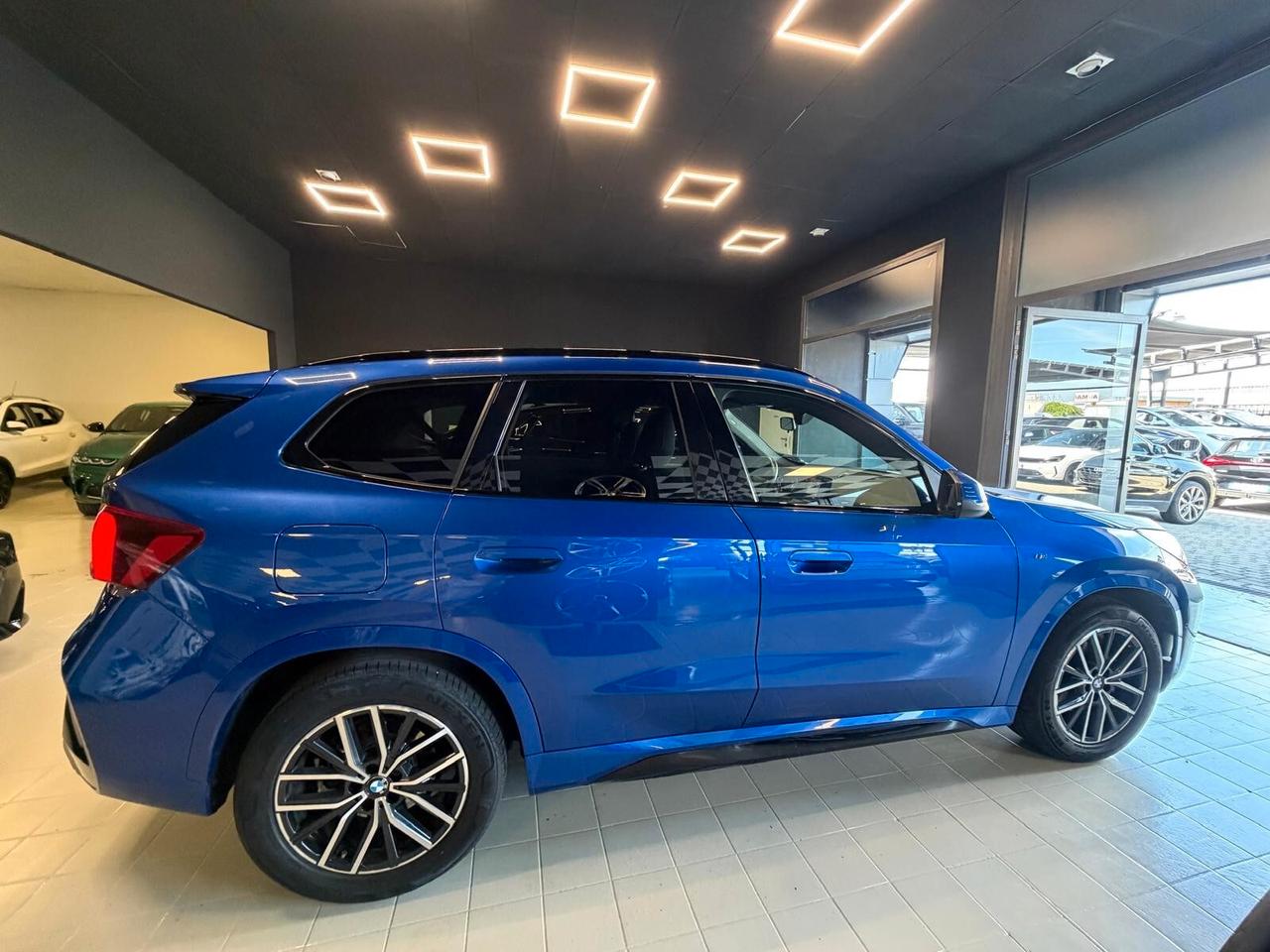 BMW X1 (U11) X1 xDrive 20d Msport