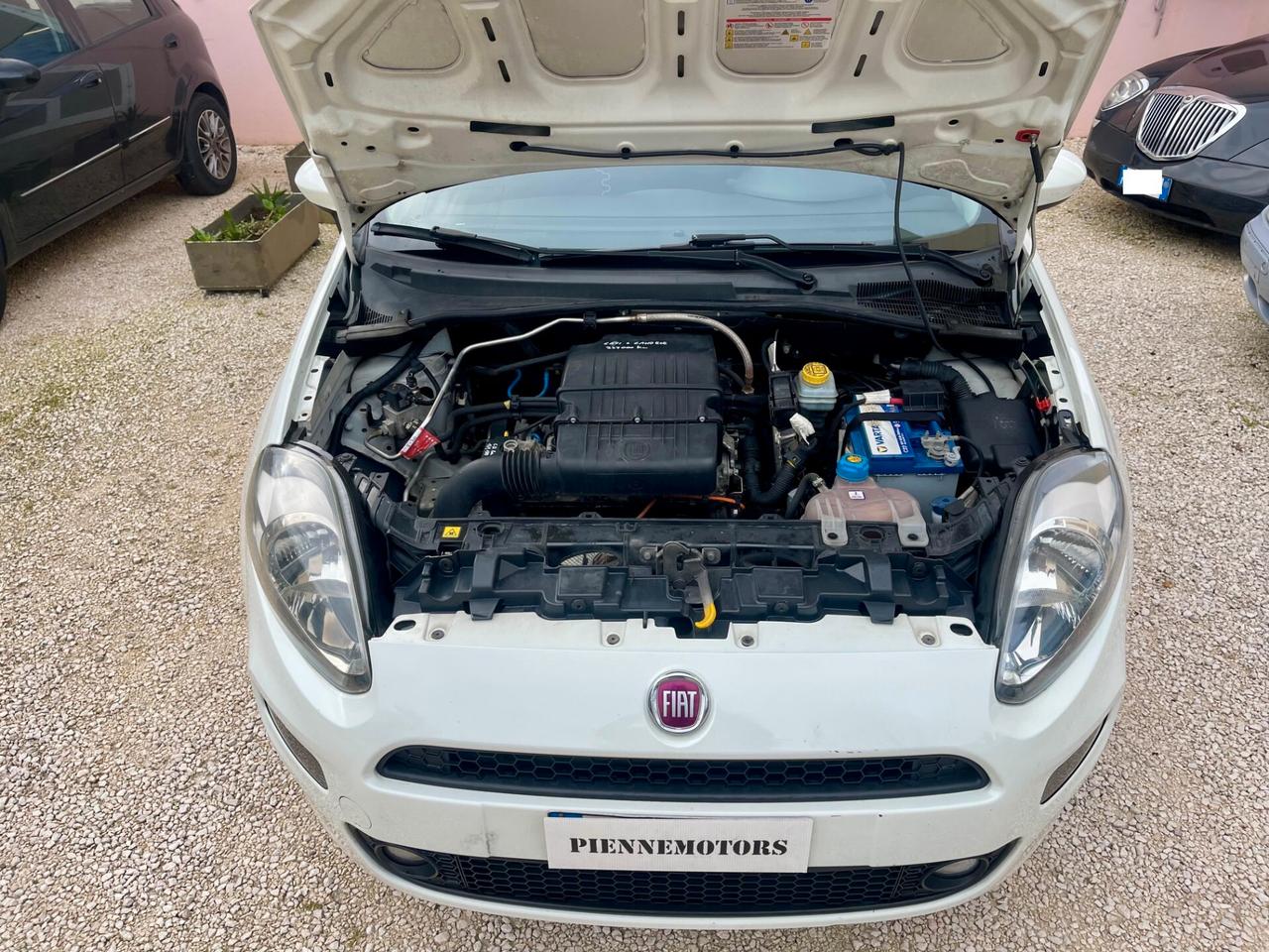 Fiat Punto 1.4 8V 5 porte Natural Power Lounge