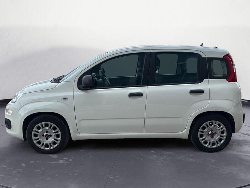 FIAT Panda 1.0 FireFly 70cv S&S Hybrid