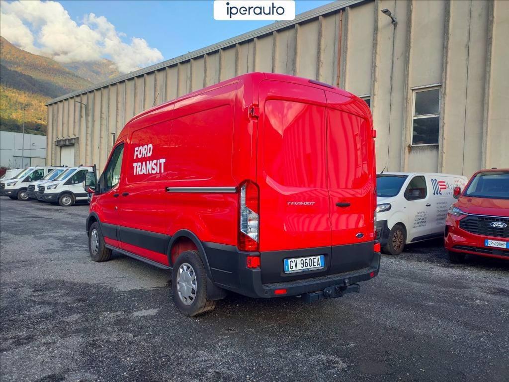 FORD Transit 350 2.0 tdci 170cv trend l2h2 *IVA ESCLUSA* del 2024