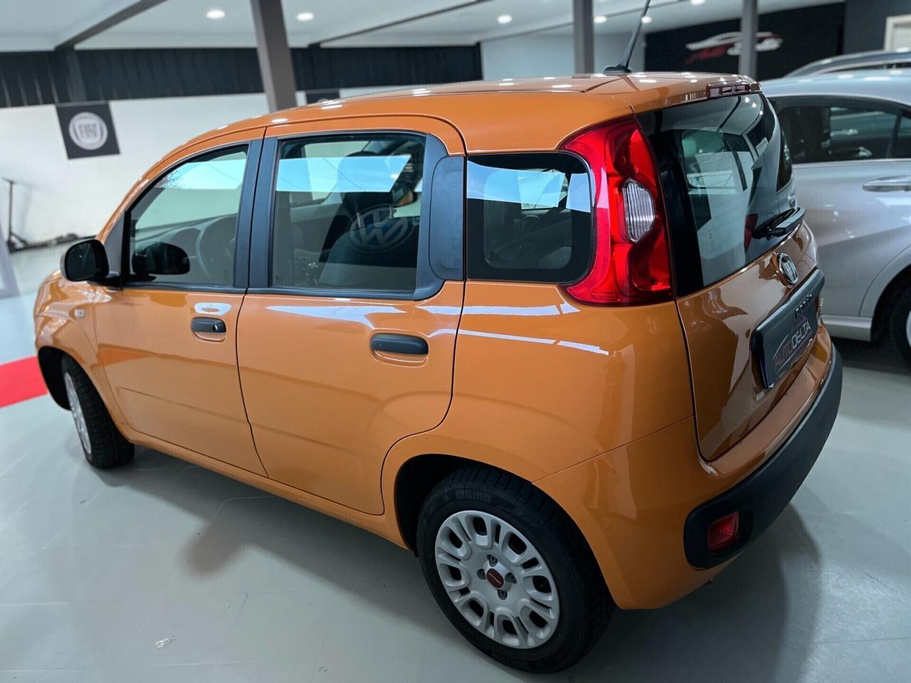 Fiat Panda 1.0 FireFly S&S Hybrid BENZINA