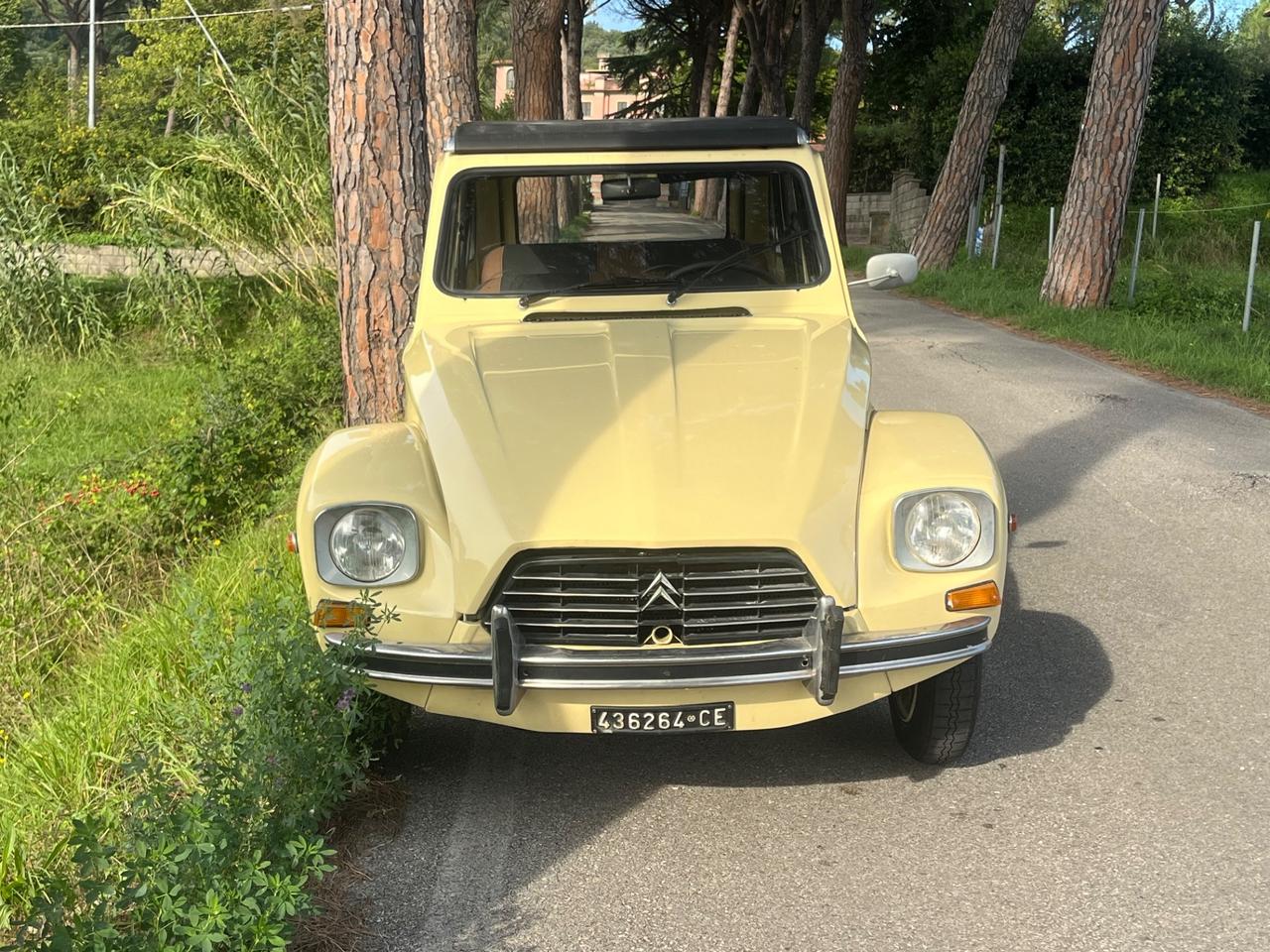 Citroen Dyane 6 - 1979