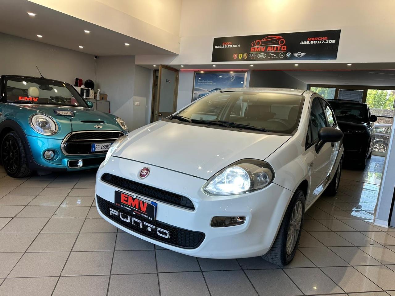 Fiat Punto 1.3 MJT II 75 CV 5 porte Street ok neopatentati