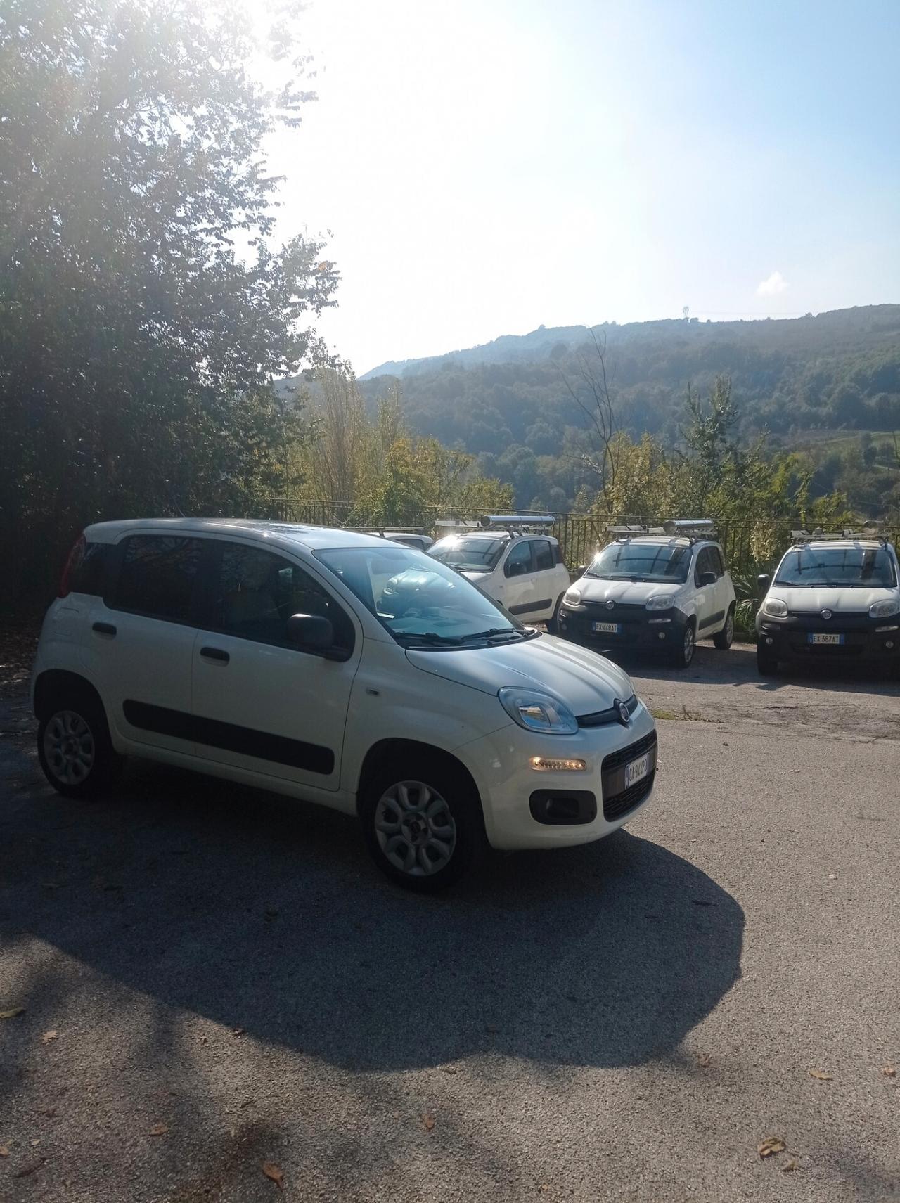 Fiat Panda 4x4 del 2020