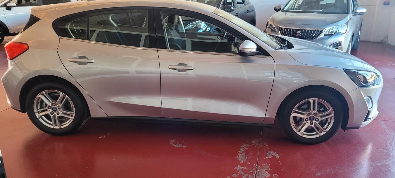 Ford Focus 1.0 EcoBoost Hybrid 125 CV 5p. Business