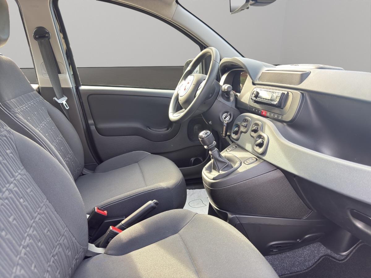 FIAT - Panda Pandina 1.0 firefly hybrid s&s 70cv