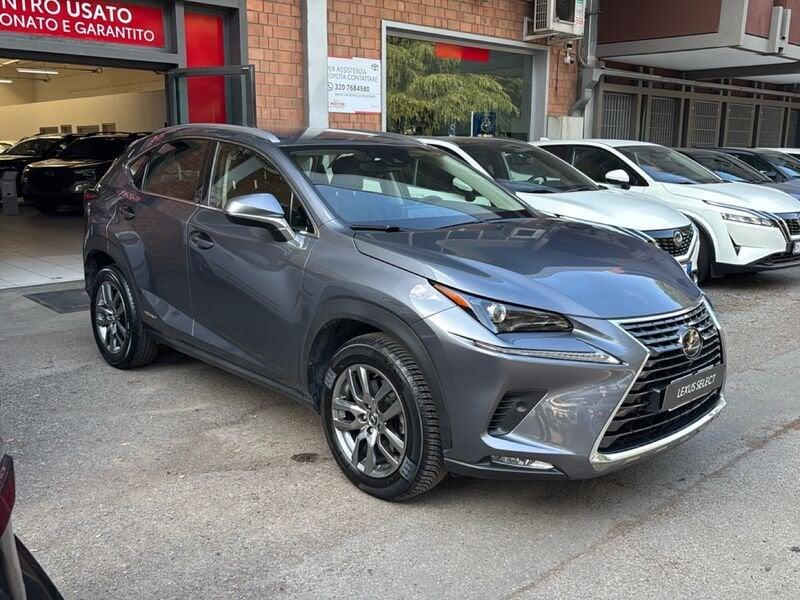 Lexus NX Hybrid Premium 4WD MY22