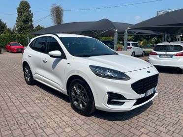Ford Kuga 1.5 EcoBlue 120 CV aut. 2WD ST-Line X
