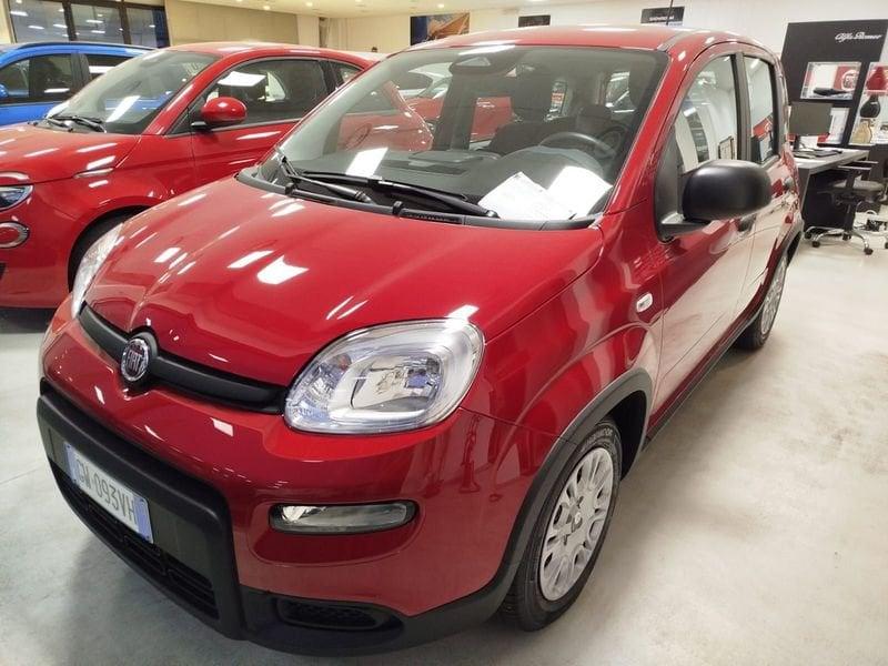 FIAT Panda 1.0 FireFly S&S Hybrid Pandina