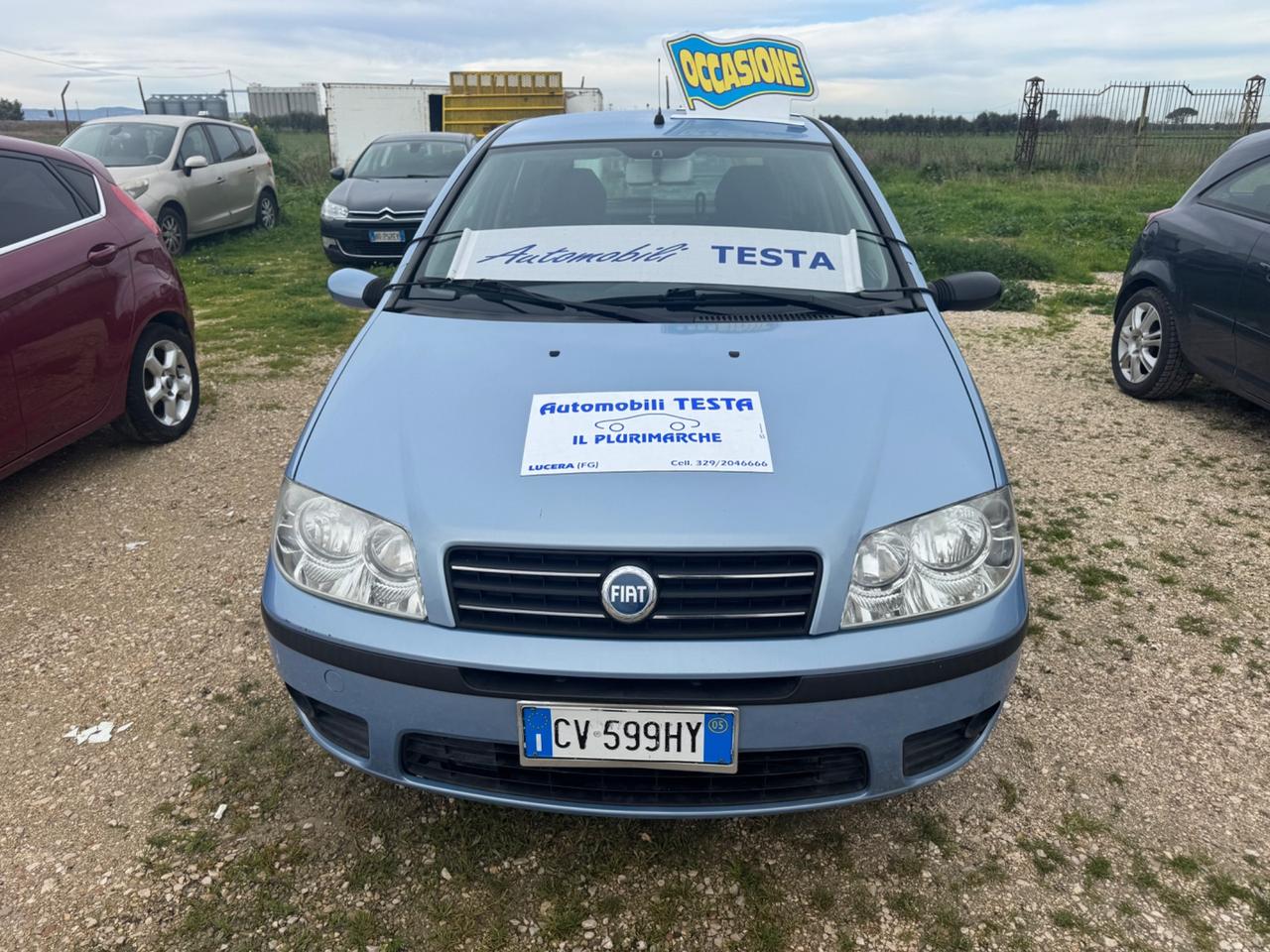 Fiat Punto 1.2 5 porte Actual