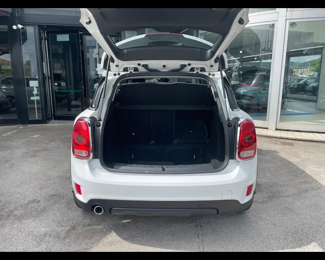 MINI Mini Countryman F60 - Mini 2.0 Cooper D Business Countryman Automatica