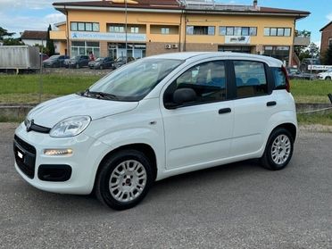 Fiat Panda 1.2 Easy iva esposta 5 posti