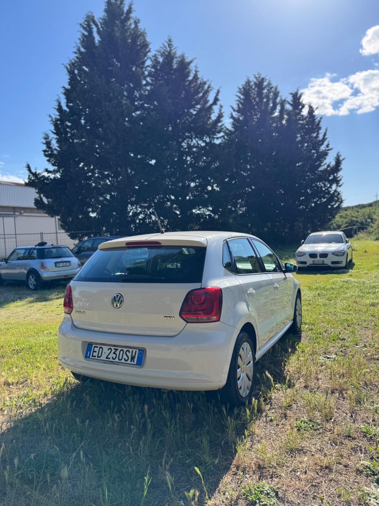 Volkswagen Polo 1.6 TDI DPF 5 porte Trendline