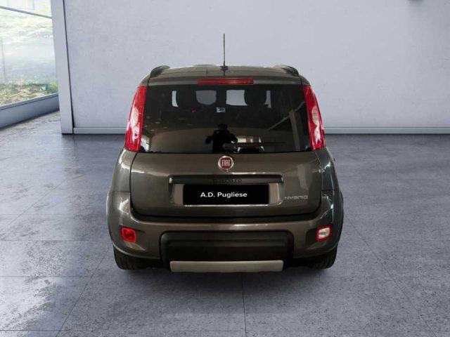 FIAT Panda 3ª serie - 1.0 FireFly S&S Hybrid Red