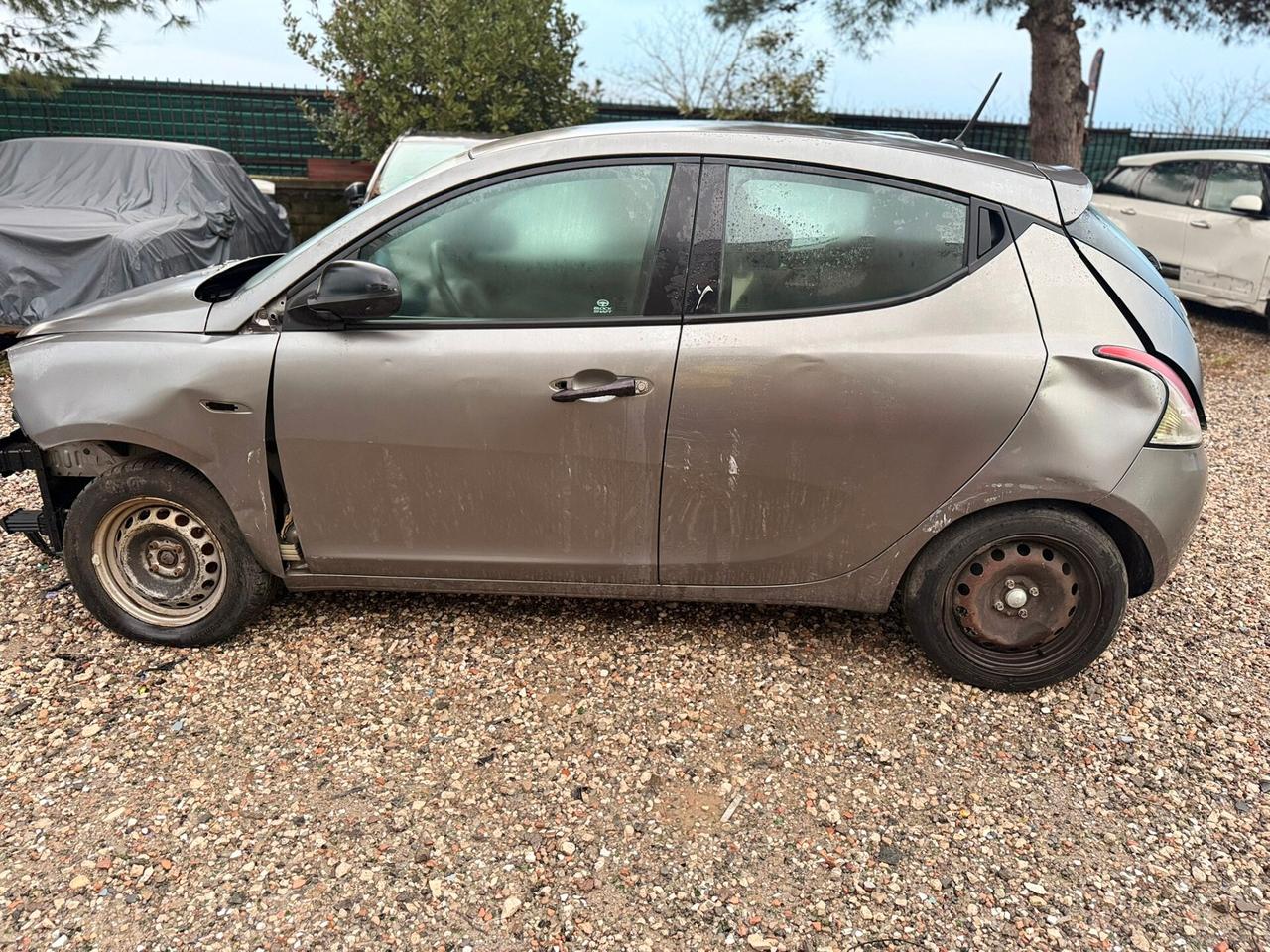 Lancia Ypsilon 1.3 MJT 16V 95 CV 5 porte S&S Platinum