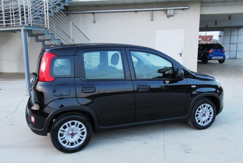 FIAT Panda 1.0 FireFly S&S Hybrid con BONUS EASY GO'