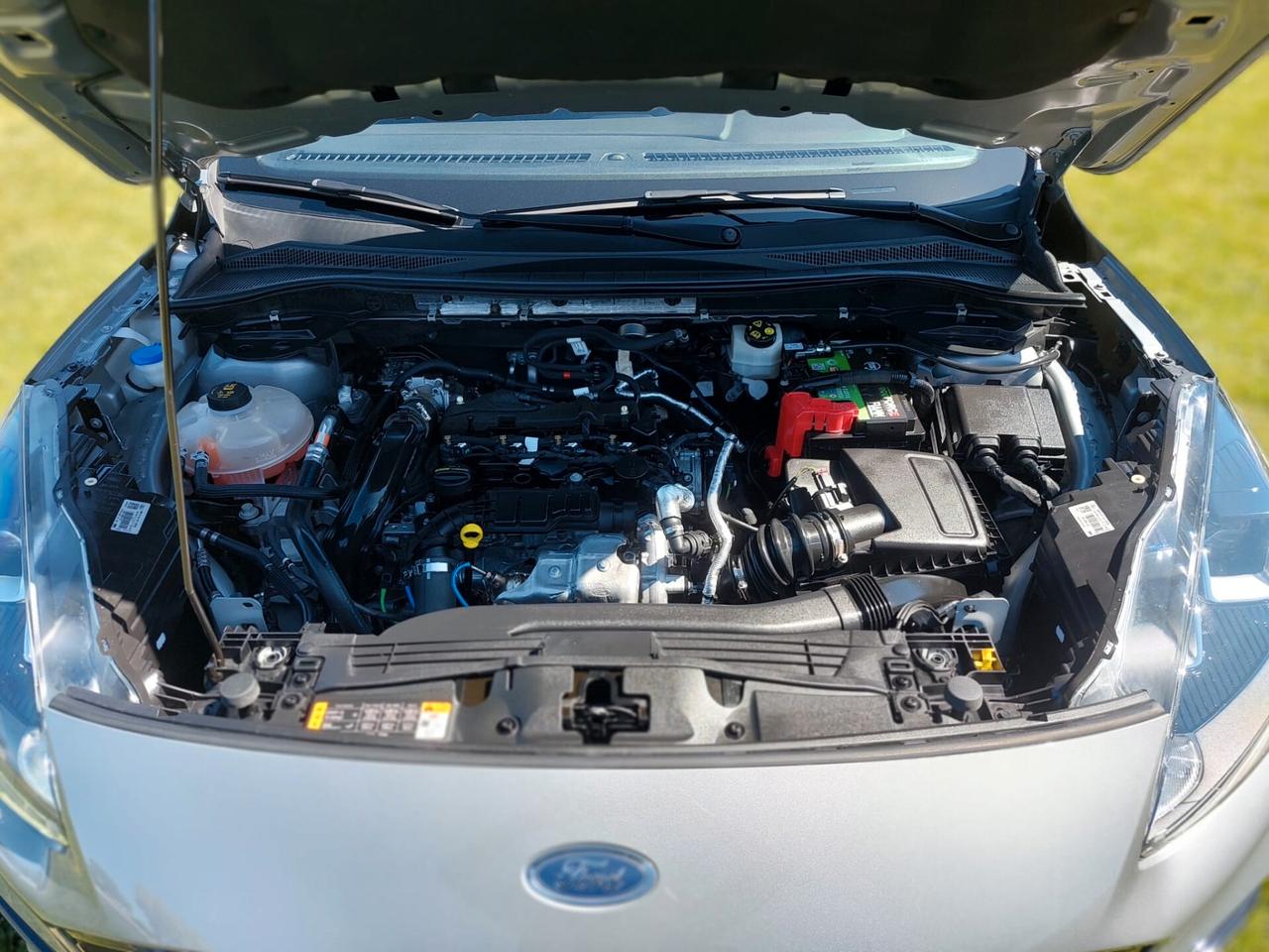 Ford Kuga 1.5 EcoBlue 120 CV aut. 2WD ST-Line
