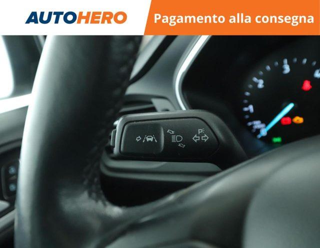 FORD Focus 1.5 EcoBlue 120 CV automatico SW Business Co-Pilot